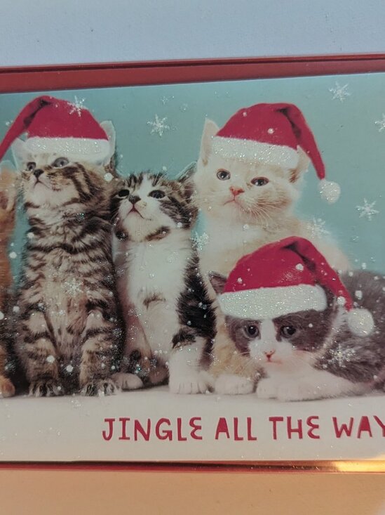 NWT 16 Kittens Santa Hats Christmas Holiday Cards American Greetings Sealed Box - Picture 1 of 6